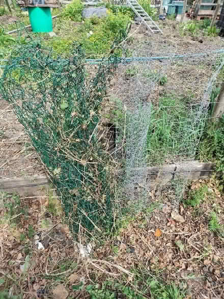 Photo of free Chicken wire & green mesh wire fencing stuff (Nether Kellet LA6) #1