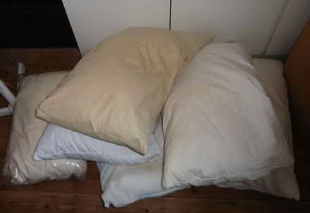 Photo of free Old pillows (Bengeo SG14) #1