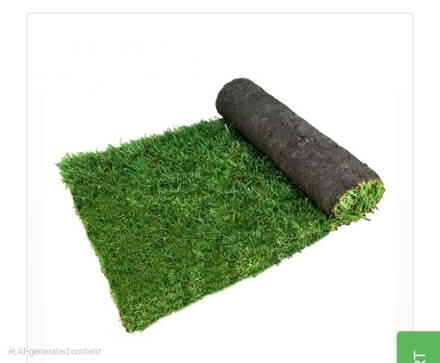 Photo of Turf / grass,real or fake (Tooting SW17) #1