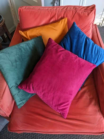 Photo of free Set of four velvet cushions (Chelsham CR6) #1