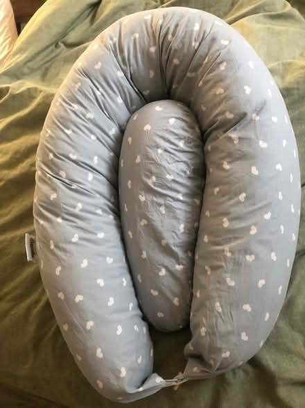Photo of free Maternity / nursing pillow & insert (Hertford EN11) #2
