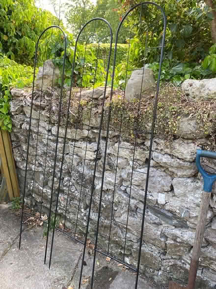 Photo of free Lightweight Plant Metal Supports (Silverdale) #1