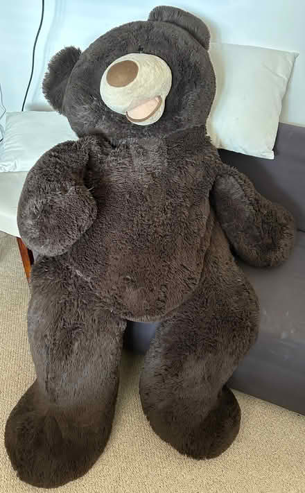 Photo of free Very Large brown teddy bear (Elm Park RM12) #1