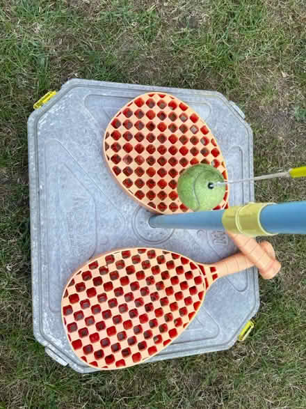 Photo of free Mookie swing ball (Hatch Warren RG22) #4