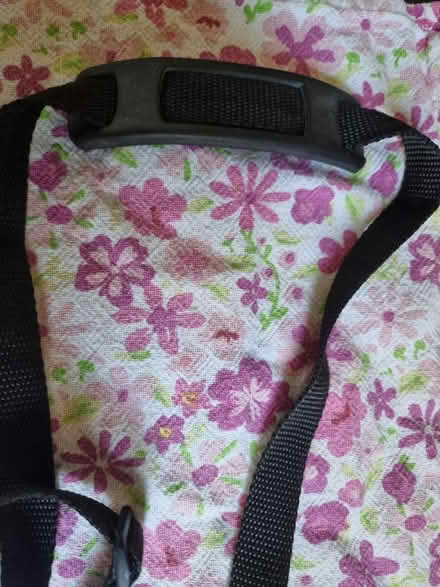 Photo of free Unused strap for a bag (stroud green N4) #3