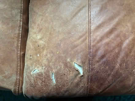 Photo of free Leather corner sofa (Old town SG1) #2