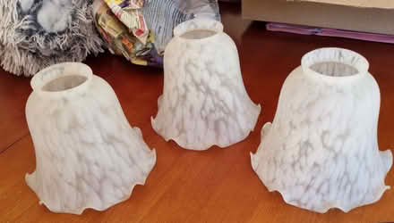 Photo of free Lampshades (Selsdon CR2) #1
