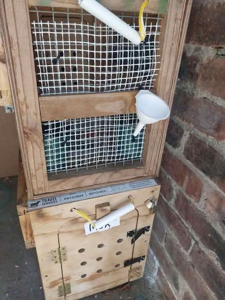 Photo of free Two sturdy wooden carriers for international pet travel (Stella NE21) #1