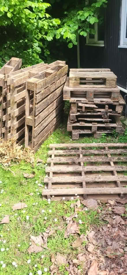 Photo of free pallett wood (Rh12) #1