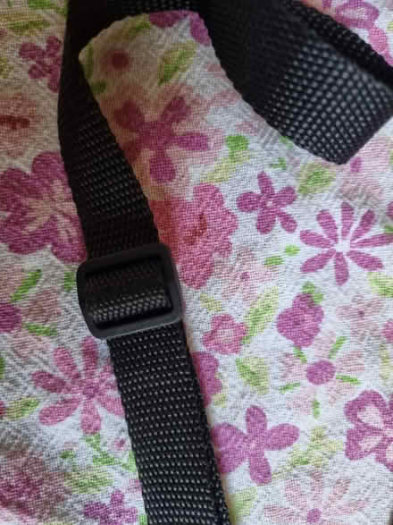 Photo of free Unused strap for a bag (stroud green N4) #2