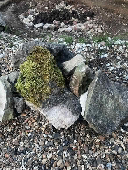 Photo of free rocks / stones big & small (Kentwood RG30) #4