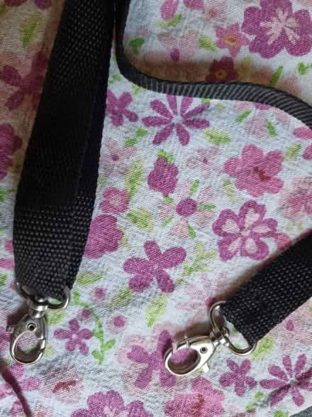 Photo of free Unused strap for a bag (stroud green N4) #4