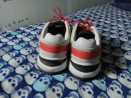 Photo of free Adidas 11.5 (Burien) #4