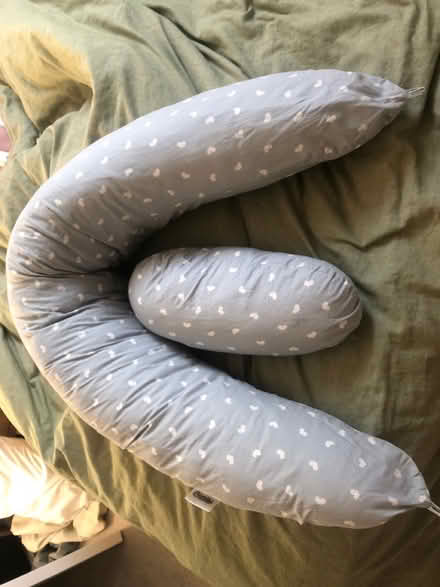 Photo of free Maternity / nursing pillow & insert (Hertford EN11) #1