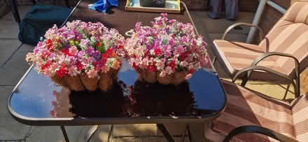 Photo of free Fake Hanging Baskets (Gillingham) #1