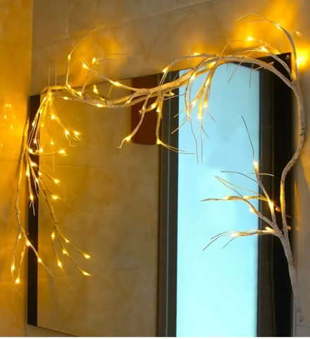 Photo of free Indoor decorative lights (Freehold LA1) #1
