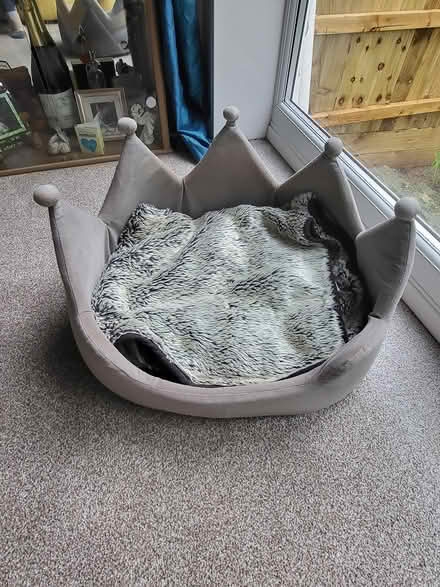 Photo of free Cat or small dog bed (Brixham) #1