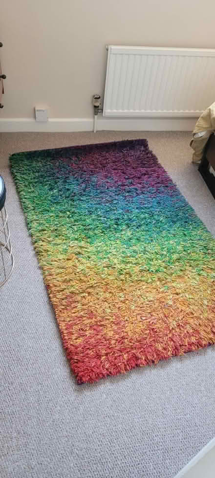 Photo of free Colourful rug (norwich nr2) #1