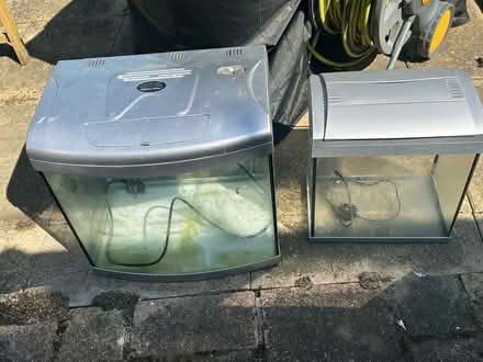 Photo of free 2 x small tanks (Leigh on sea) #1