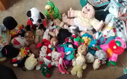 Photo of free Assorted teddies (Yalding ME18) #1