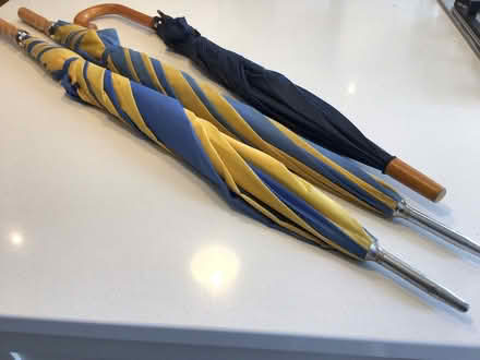 Photo of free Umbrellas (Christchurch Town Centre) #1
