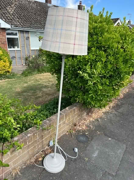 Photo of free Next lanp (Tonbridge) #1