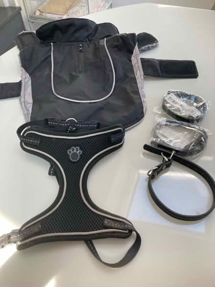 Photo of free Dog coats (Beaumont) #1