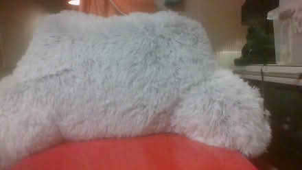 Photo of free Bed rest/reading pillow (BA2) #2