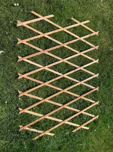 Photo of free Trellis (Purley on Thames RG31) #1