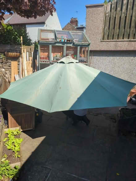 Photo of free Garden parasol (Sheffield S12) #2