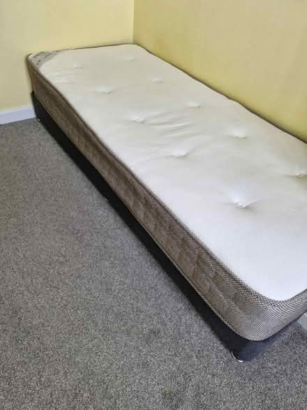 Photo of free Small single bed (Eastbourne) #2