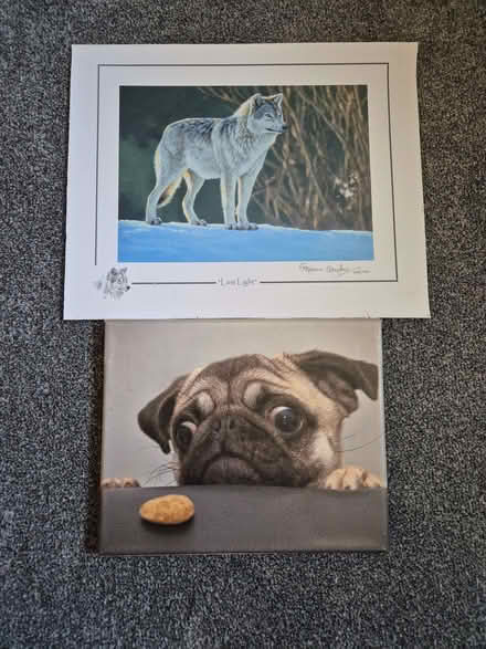 Photo of free Various Items (Minster Lovell OX29) #4