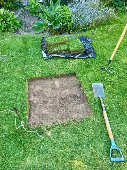 Photo of free Real lawn turf (Hatfield AL10) #1