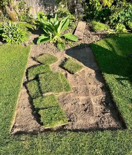 Photo of free Real lawn turf (Hatfield AL10) #2