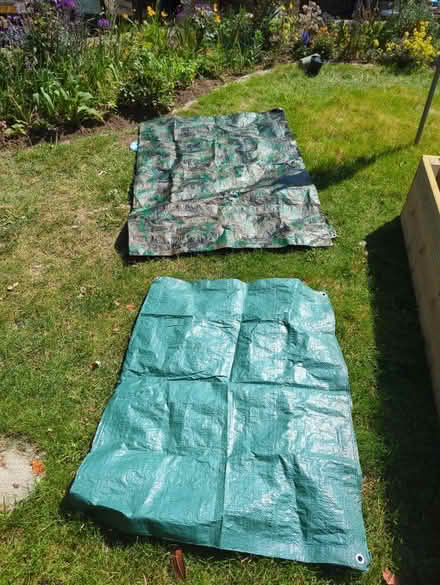 Photo of free Ground sheets (Sheffield S12) #1