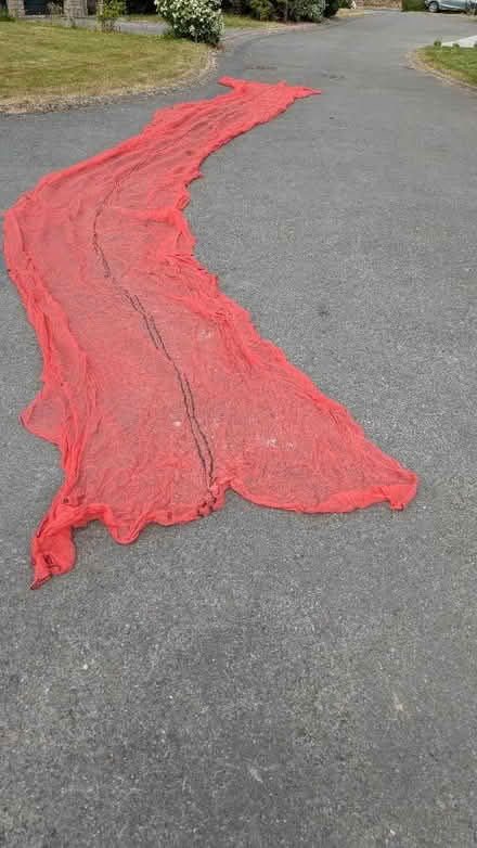 Photo of free Netting (Yatton Keynell SN14) #1