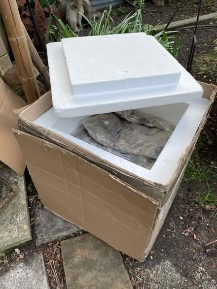 Photo of free Insulated box for food/drinks (West Watford WD18) #1