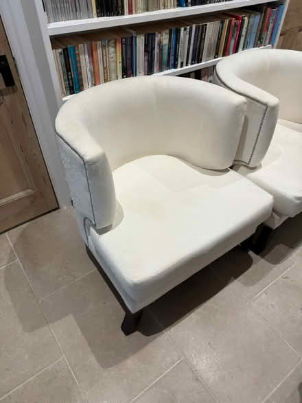 Photo of free Two Designer armchairs (BN3 3PA) #2