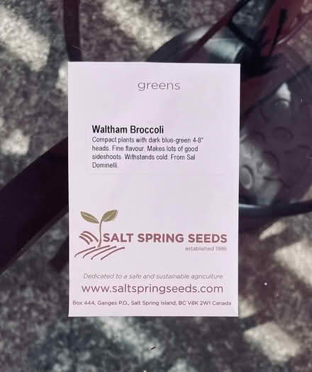 Photo of free broccoli seeds (Bloor Lansdowne) #1