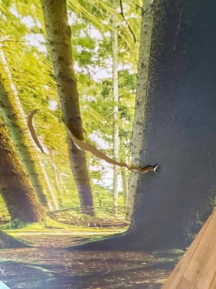 Photo of free Folding room screen (Bromham MK43) #2