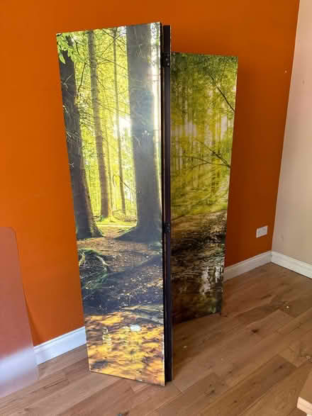 Photo of free Folding room screen (Bromham MK43) #1