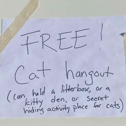 Photo of free Cat 'hangout' (Ann Arbor near Hillside Terr.) #3