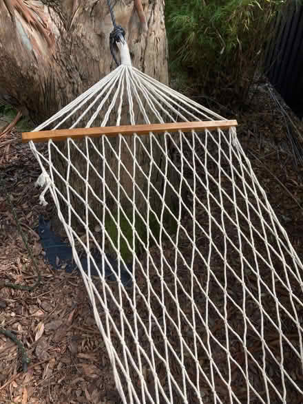 Photo of free String hammock (Stoke Holy Cross NR14) #3