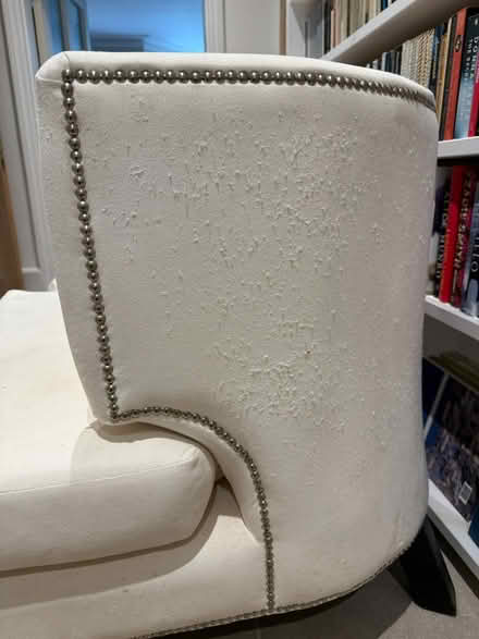 Photo of free Two Designer armchairs (BN3 3PA) #4