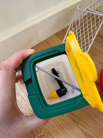 Photo of free Quail chick bundle (Lytchett matravers) #2