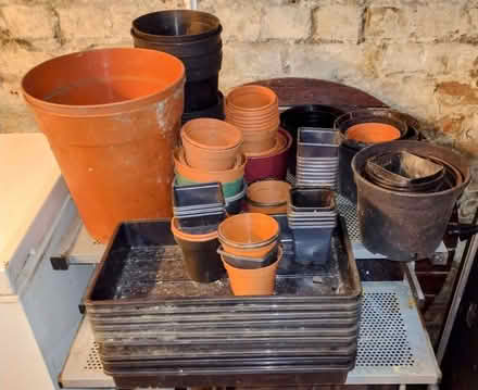 Photo of free Plant pots and seed trays (Harpurhey M9) #1