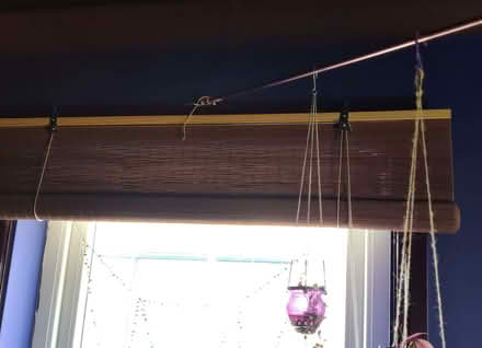 Photo of free Two cane roller blinds (Leeman Road YO26) #2
