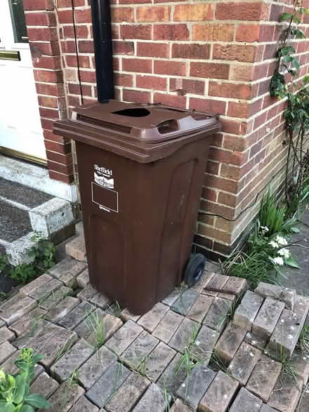 Photo of free Brown bin (s5) #1