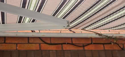 Photo of free Awning (Waddon TQ13) #4