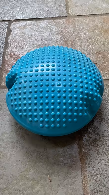 Photo of free Core Balance Wobble Cushion (New forest, Bramshaw) #1